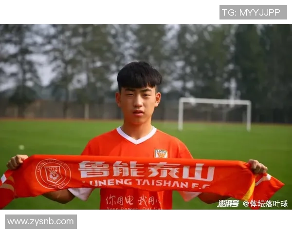 南京羽毛球队以61分稳居挑战赛积分榜首位展现强劲实力